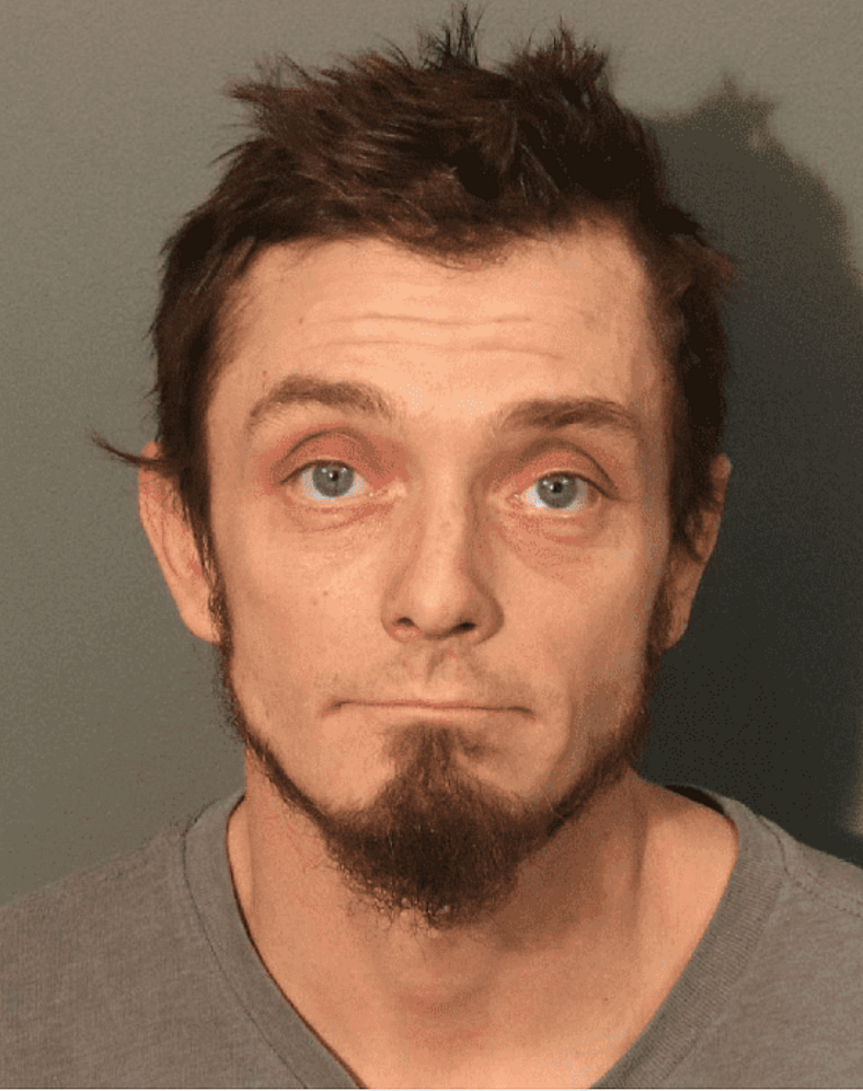 Man who threw puppy from porch